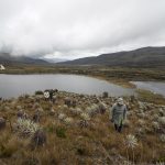 Páramo de Sumapaz
