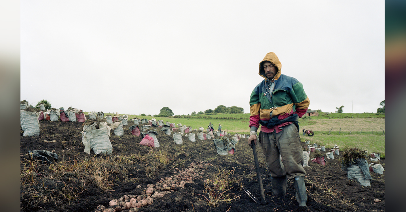 campesinos