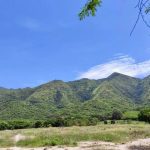 Cundinamarca tendra su primer Jardin Botanico