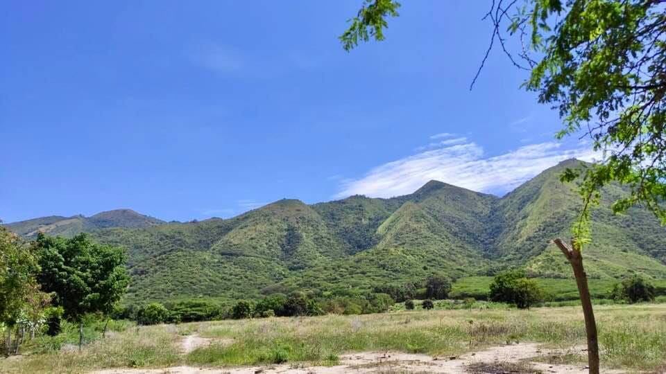 Cundinamarca tendra su primer Jardin Botanico