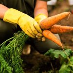 Cundinamarca y Bogota con enfoque en turismo rural