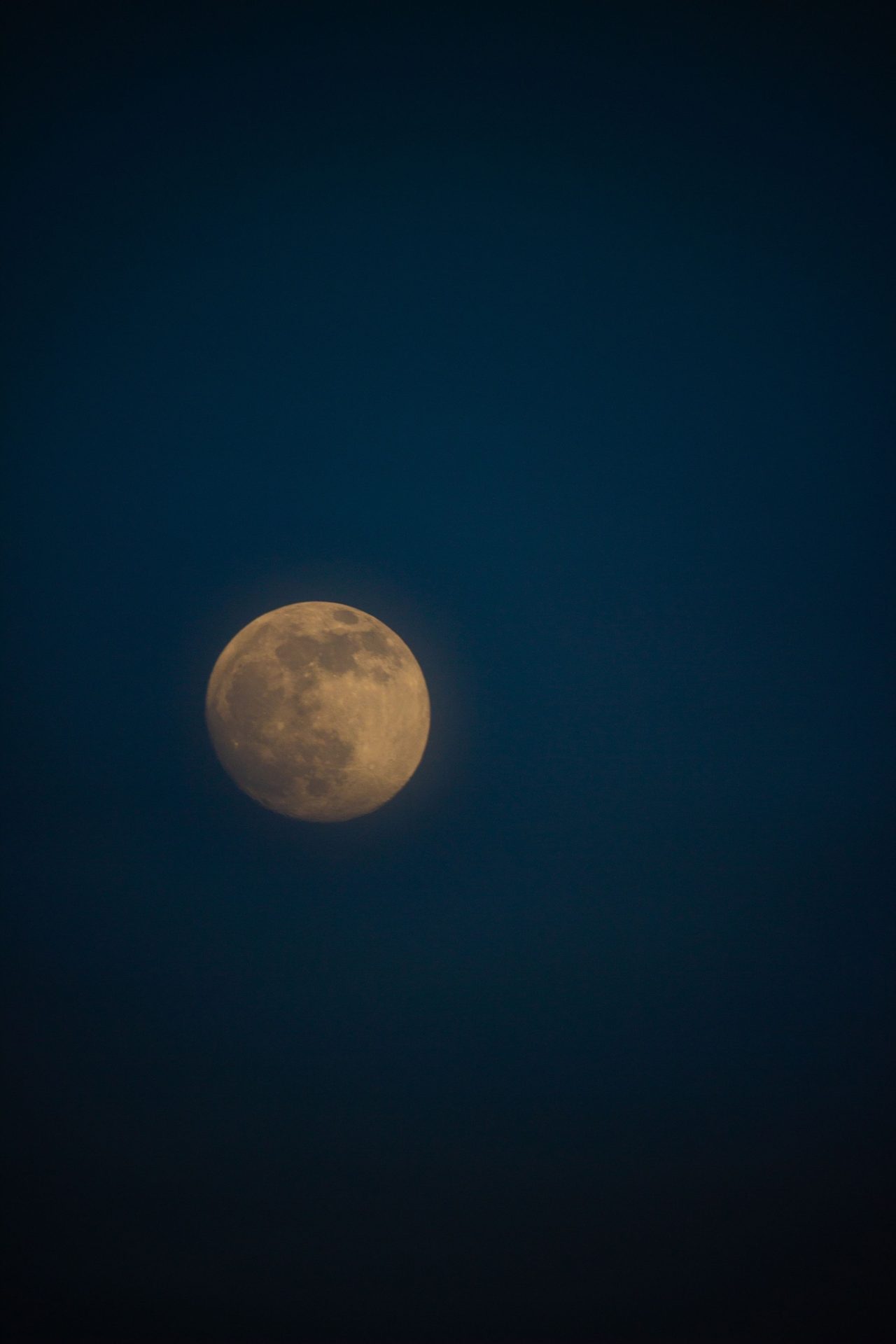 vertical shot of the full moon in a night sky 2025 02 02 13 56 23 utc